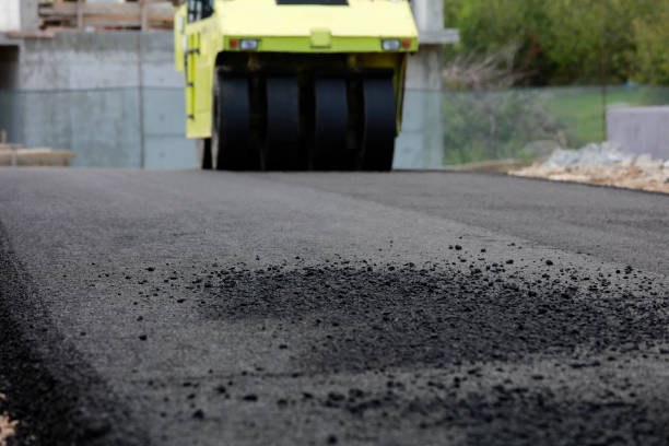 Best Residential Paver Driveway  in Wilton, CA